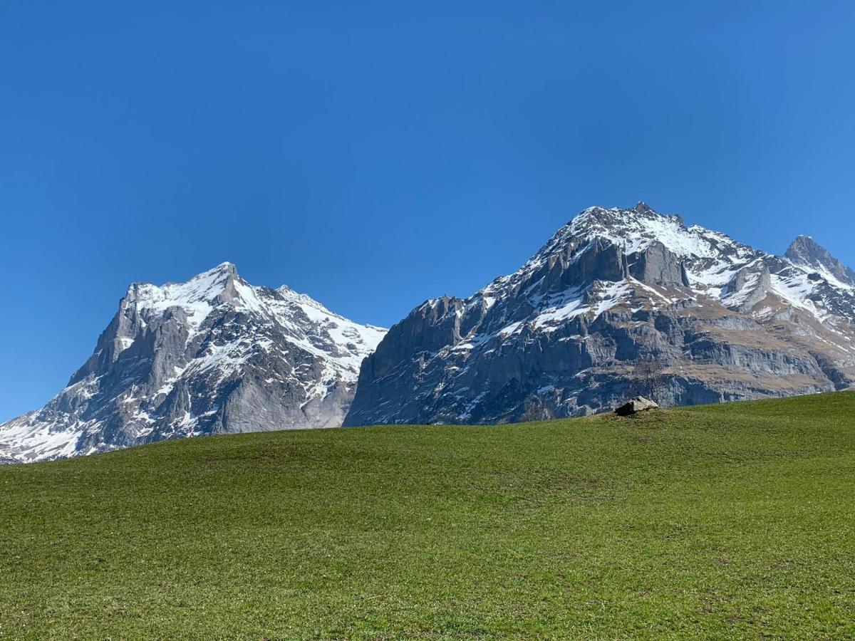 Appartement Fluehblueemli à Grindelwald Extérieur photo