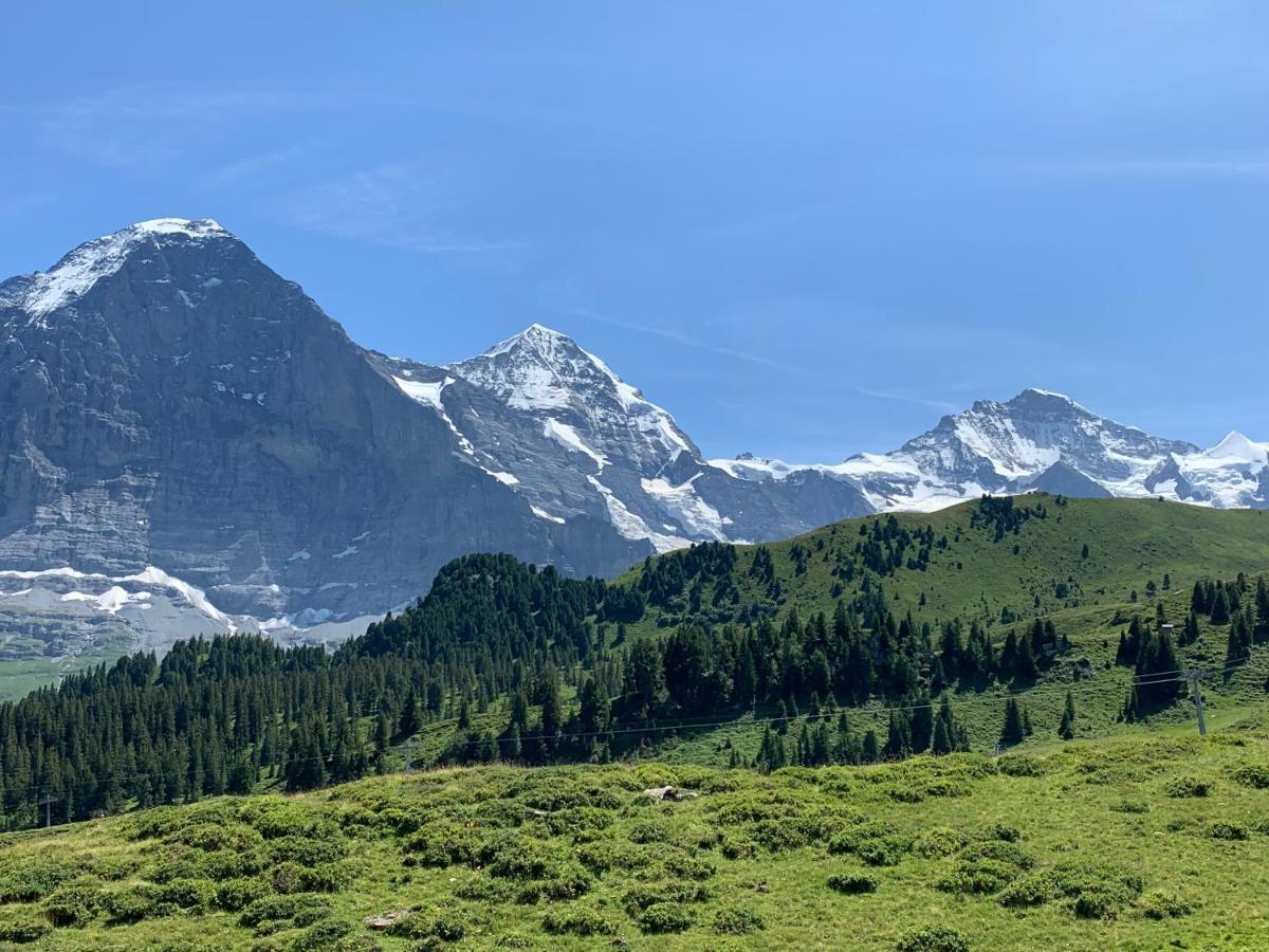 Appartement Fluehblueemli à Grindelwald Extérieur photo