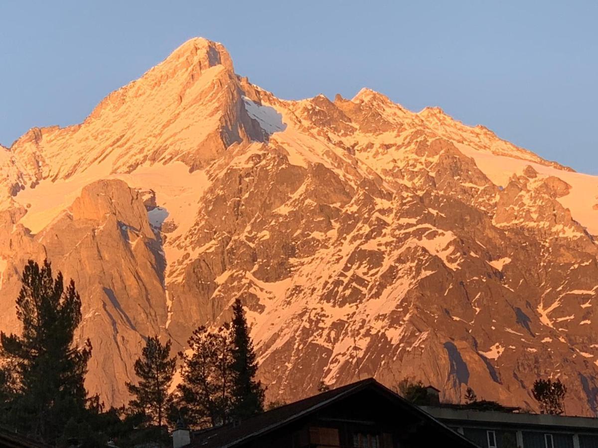 Appartement Fluehblueemli à Grindelwald Extérieur photo