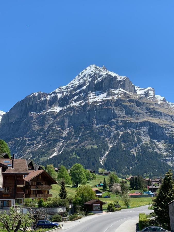 Appartement Fluehblueemli à Grindelwald Extérieur photo